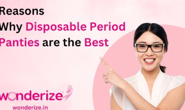 Revolutionize Your Menstrual Cycle: 6 Reasons Why Disposable Period Panties are the Best