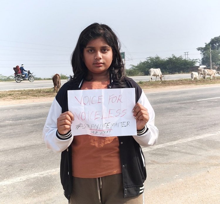 Manya Harsha: Transformative Road Trip and Wildlife Crusade for a Greener and Safer Planet