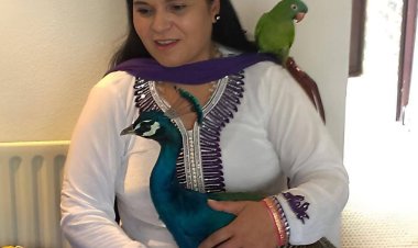 Urja Shakti and Dr. Madhu Kalia: Pioneering Holistic Wellness and Spiritual Guidance